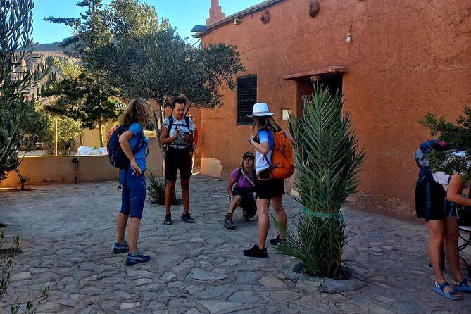 Fint Oasis Private Day Hike - Why Fint Oasis makes a perfect half-day escape from Ouarzazate