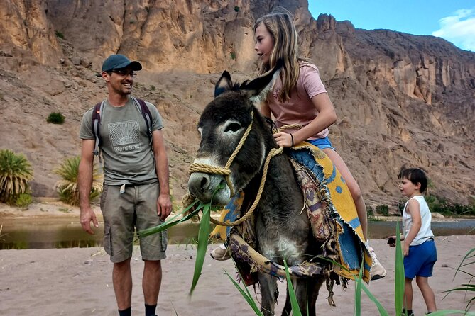 Fint Oasis Private Day Hike - The wadi walk between mountains: nature you can actually notice