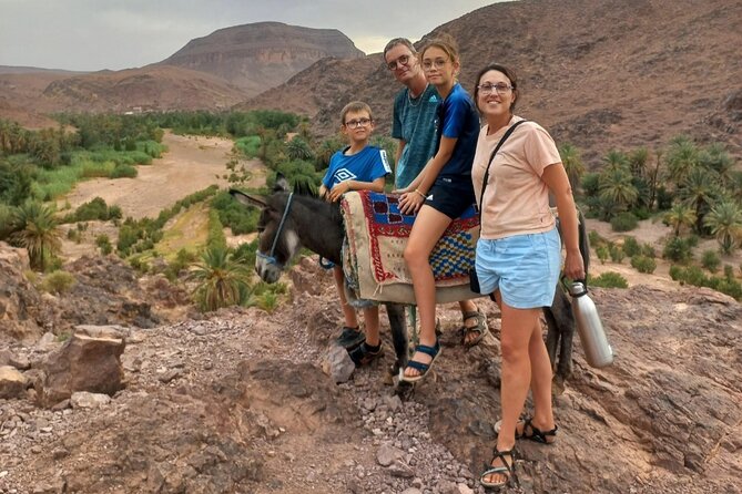 Fint Oasis Private Day Hike - Date palms and microclimate: why this oasis feels greener than it should
