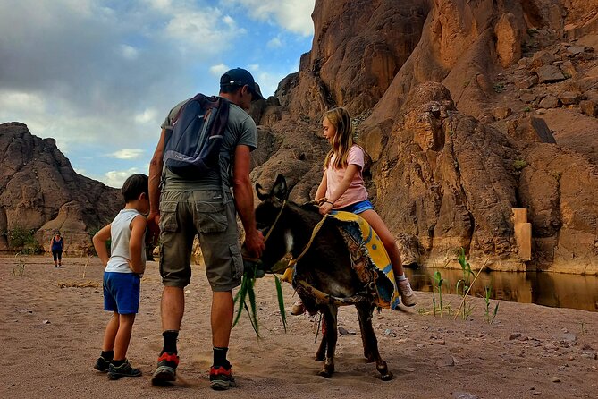 Fint Oasis Private Day Hike - Picnic and mint tea: the included break that makes the day feel complete