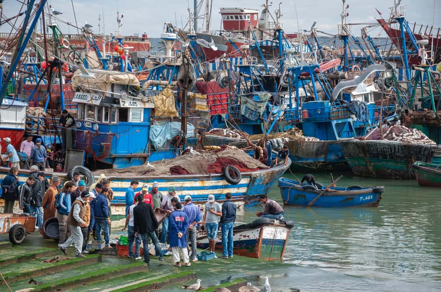 Friend-Guide Essaouira city tour - The medina square and Gnaoua music: culture you can actually connect to