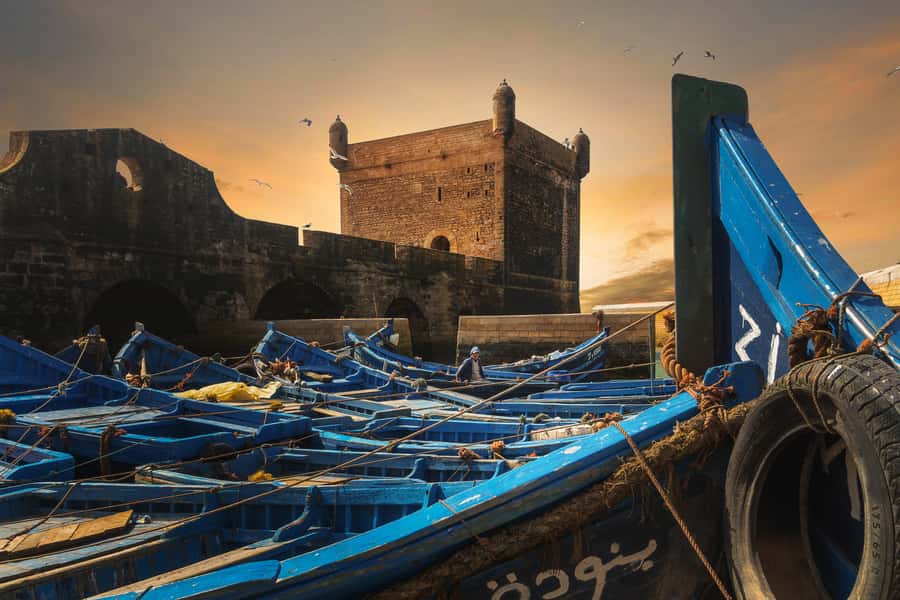 Friend-Guide Essaouira city tour - From the harbor to the fortress mood: oysters and big-city walls