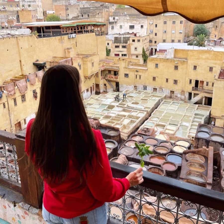 Friend tour guide to Fes Medina private walking tour - Key moments that make this tour work