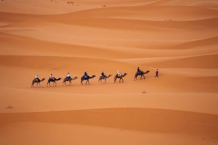 From Agadir: 3-Day Desert Tour to Marrakech - Camel ride, sandboarding, and Berber music under the stars