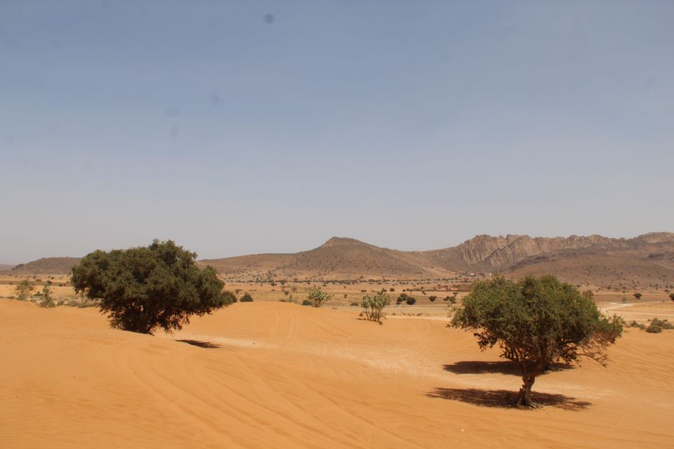 From Agadir: 4×4 Sahara Desert Safari with Lunch and Pickup - Berber Lunch in the Atlas Edge: Tagine, Couscous, and Seasonal Fruit