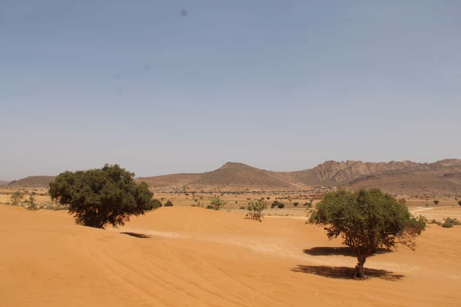 From Agadir: 4×4 Sahara Desert Safari with Lunch and Pickup - 4×4 Logistics: What to Pack for a Sand and Sea Day