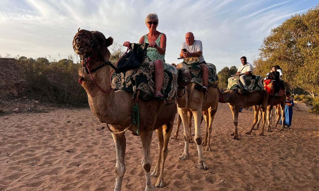 From Agadir: Camel Ride and Flamingo Trek - Key things to know before you go