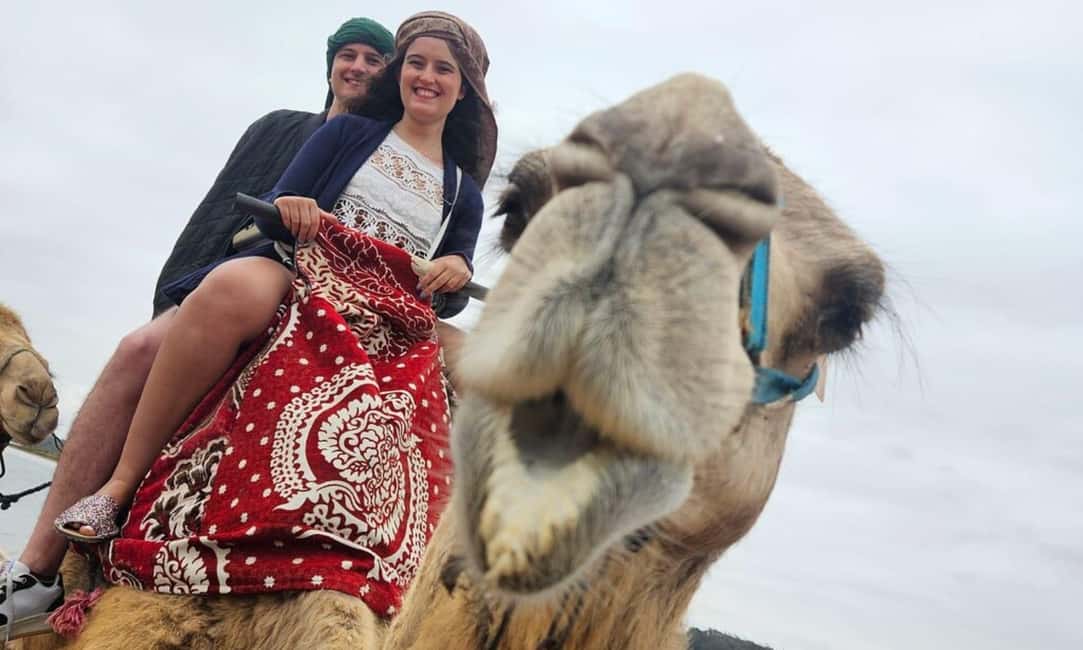 From Agadir: Camel Ride and Flamingo Trek - From Agadir: the ride starts with smooth transport