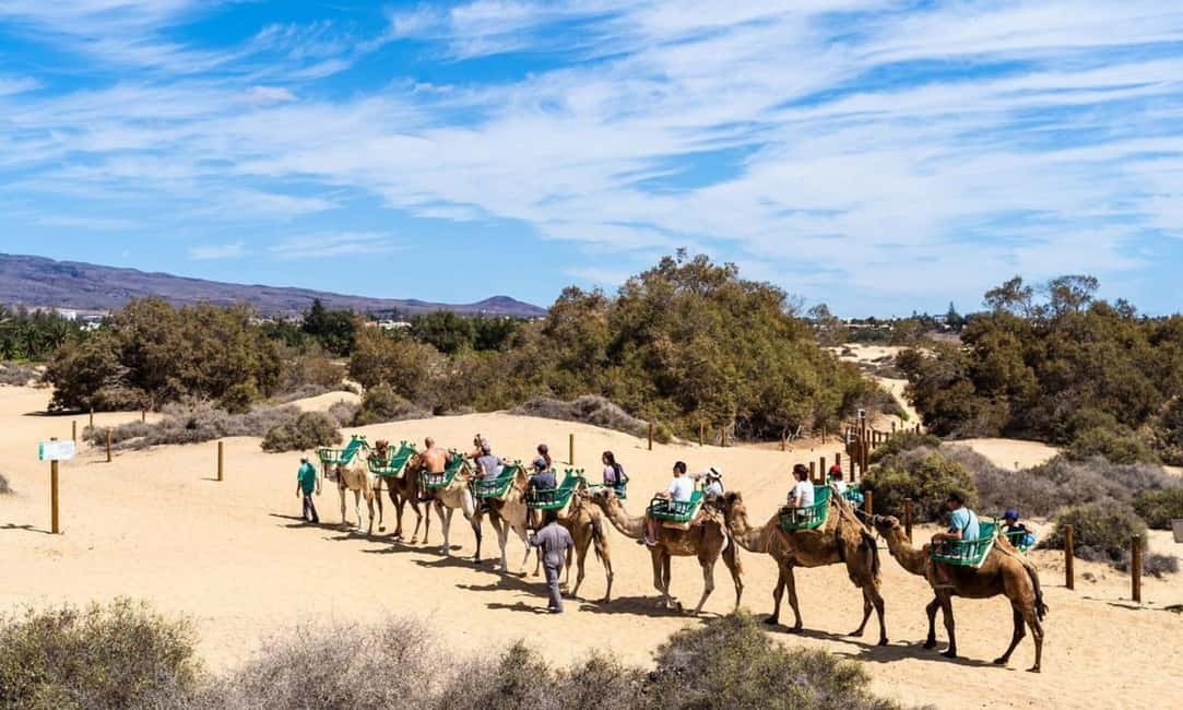 From Agadir: Camel Ride and Flamingo Trek - The Souss River stretch: where flamingoes might appear