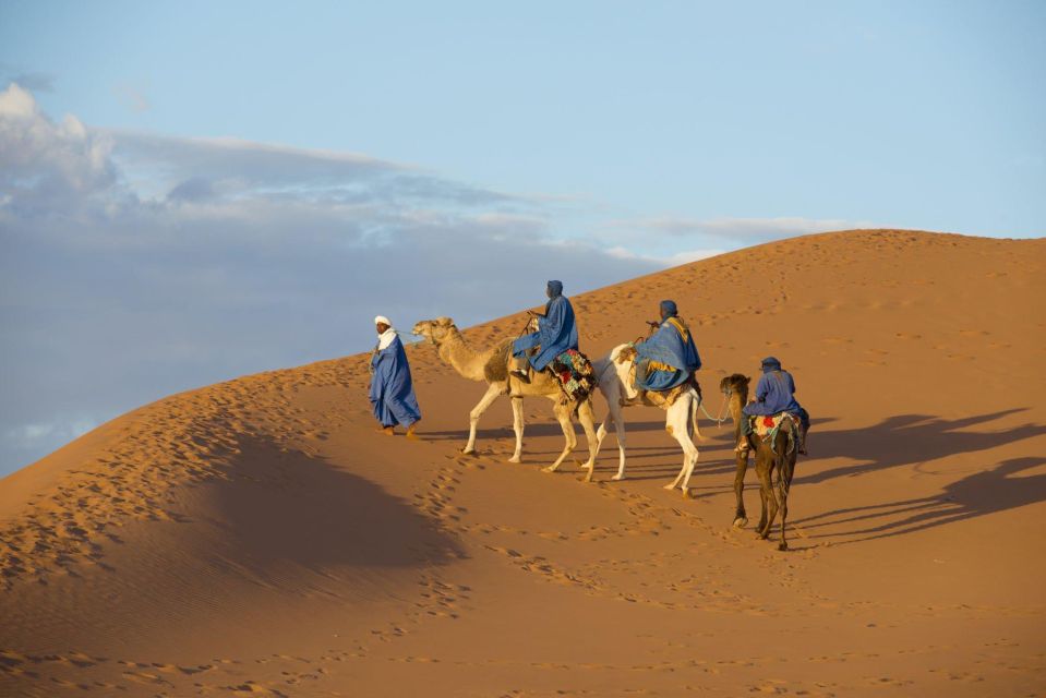 From Agadir: Camel Ride and Flamingo Trek - Forest paths and a royal-palace peek: small stops, big atmosphere