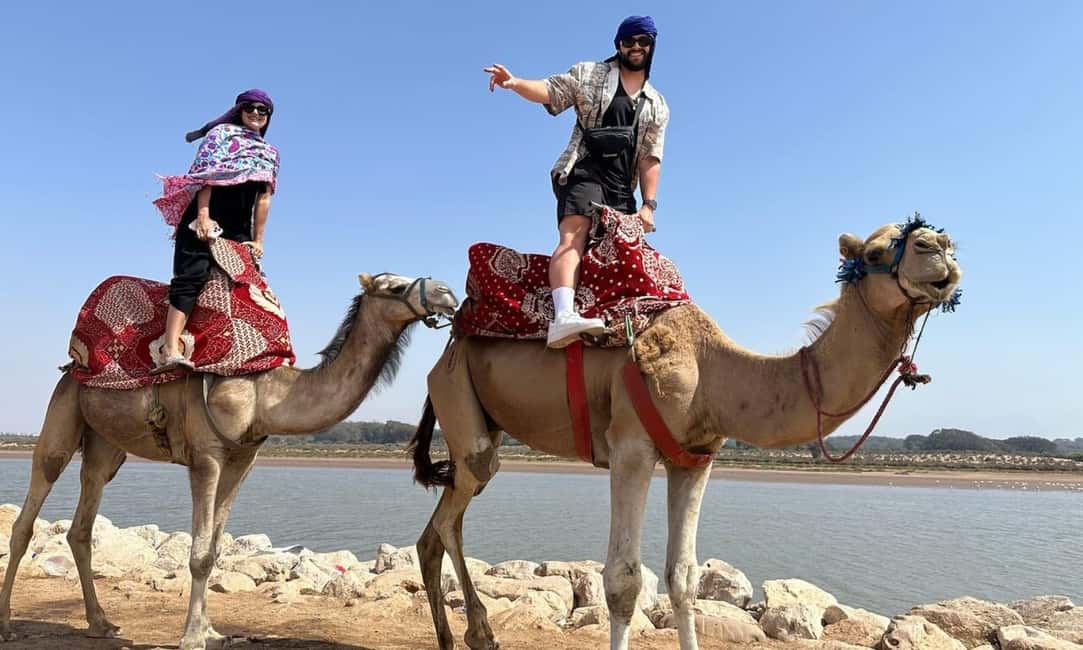 From Agadir: Camel Ride and Flamingo Trek - Toward Agadir’s dunes and views by the ocean