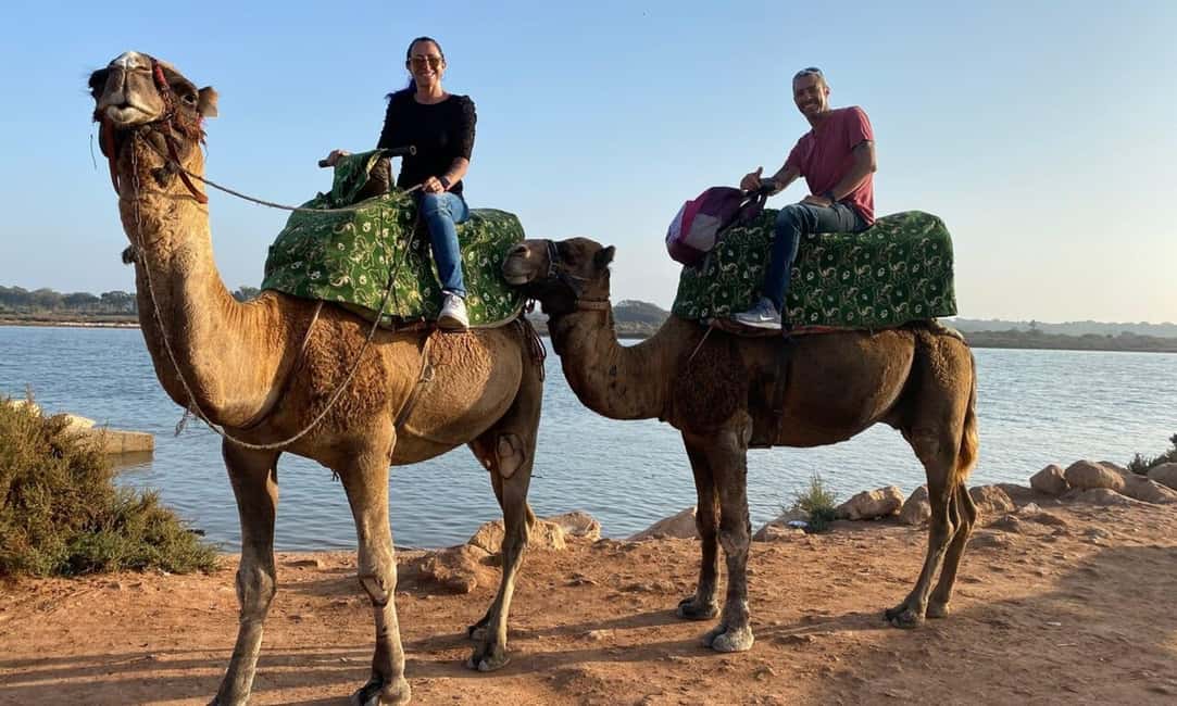 From Agadir: Camel Ride and Flamingo Trek - Tea, biscuits, and the photo moment you should plan for