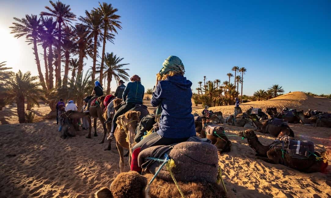 From Agadir: Camel Ride and Flamingo Trek - Price and value: what $19 gets you in real time