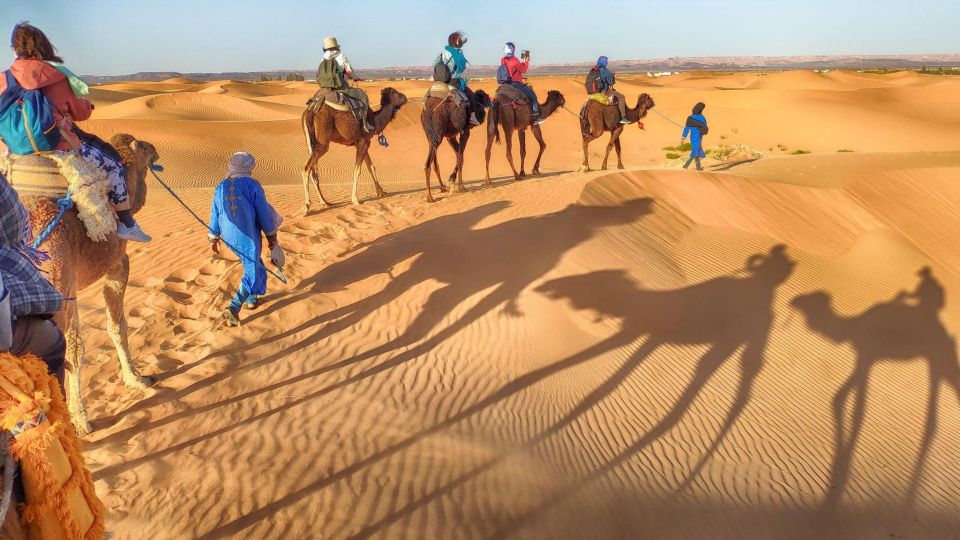 From Agadir: Camel Ride and Flamingo Trek - When weather matters most: heat, sun, and what to pack