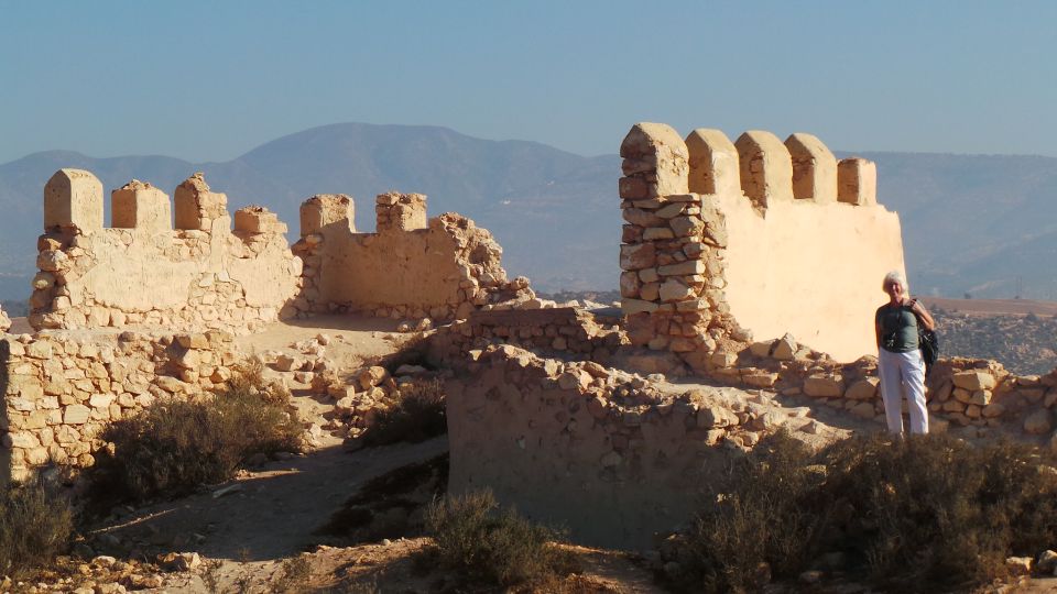From Agadir: City Tour with Hotel or Port Transfers - What a great guide changes about the whole experience