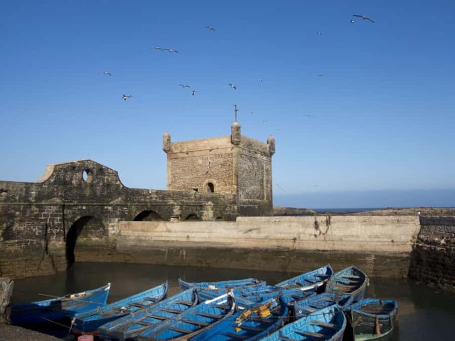 From Agadir : Day in Essaouira with Transfer - A Day Trip to Essaouira That Fits the Real World