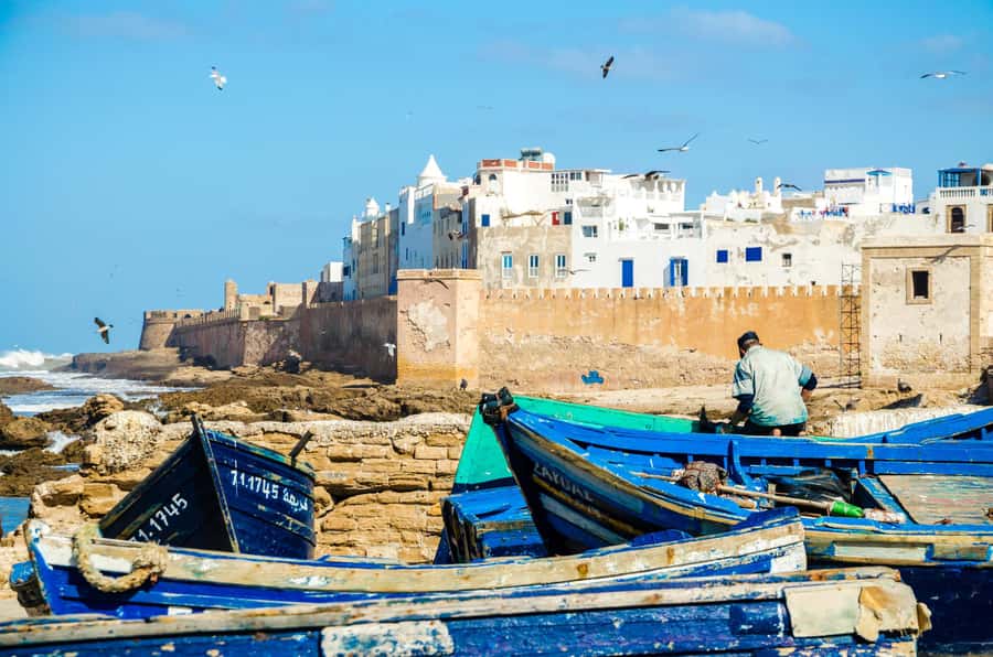From Agadir : Day in Essaouira with Transfer - Argan Trees and Goats: The Photo Stop That Makes You Smile