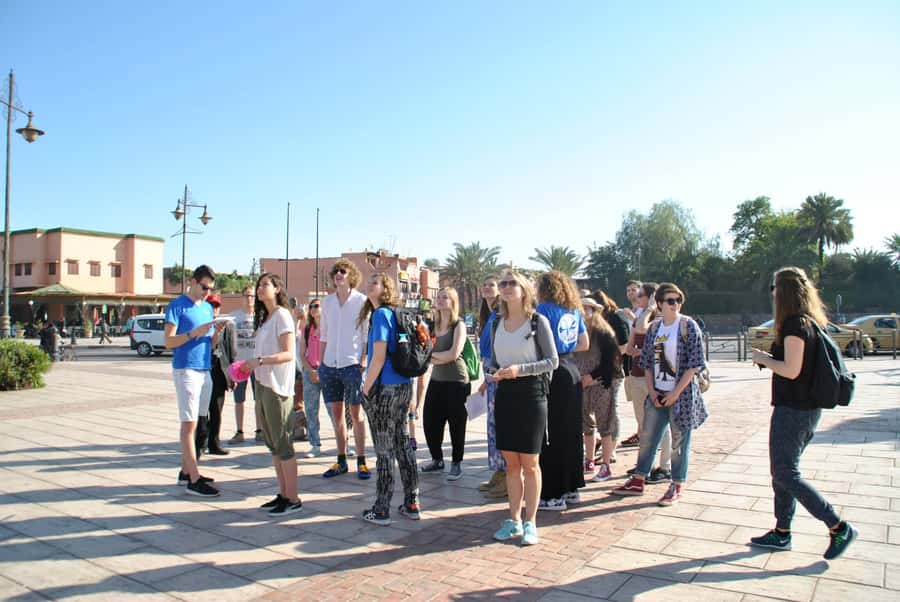 From Agadir: Guided Day Trip to Marrakech - Should you book this Agadir to Marrakech guided day trip?