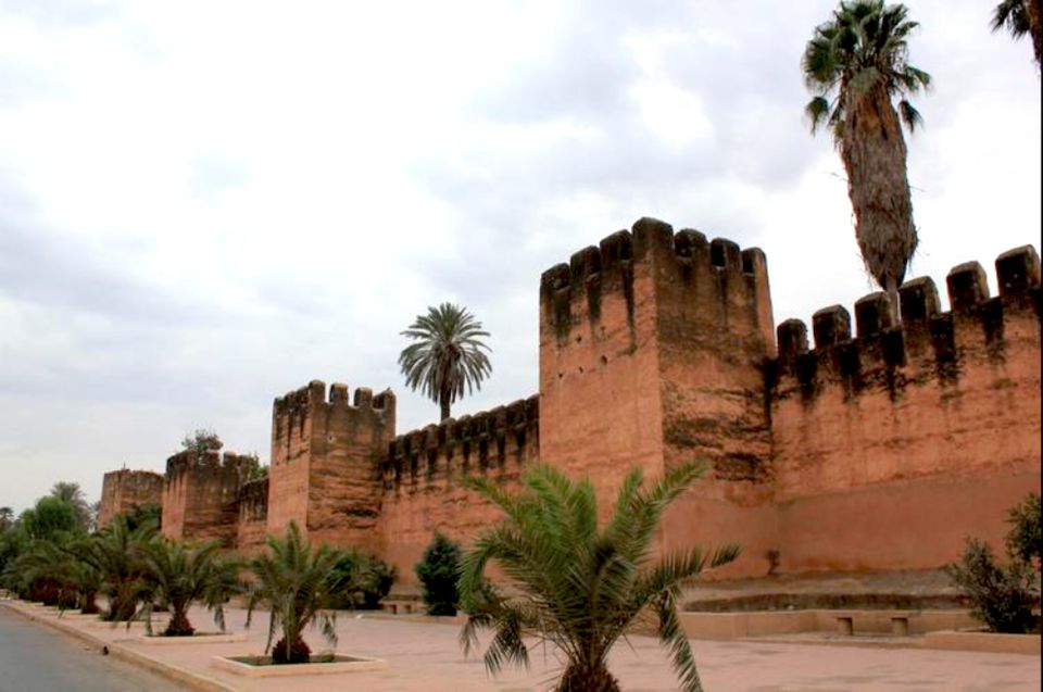 From Agadir: Half-Day Tour to Taroudant - Souss Farm Stop: Orange, Banana, and Argan Tree Goats