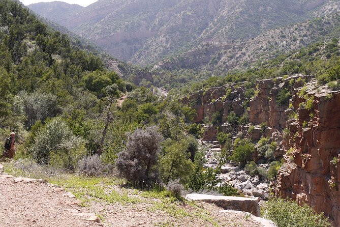 From Agadir Hotel or Port : Paradise Valley Trip - Pickup From Port or Hotel: Your Day Starts Earlier Than You Think