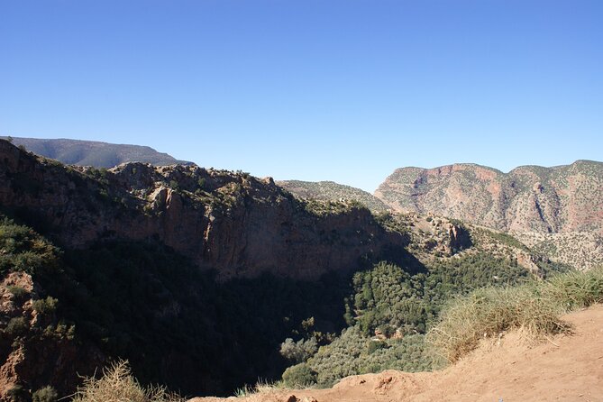 From Agadir Hotel or Port : Paradise Valley Trip - Guides and the Tone of the Day