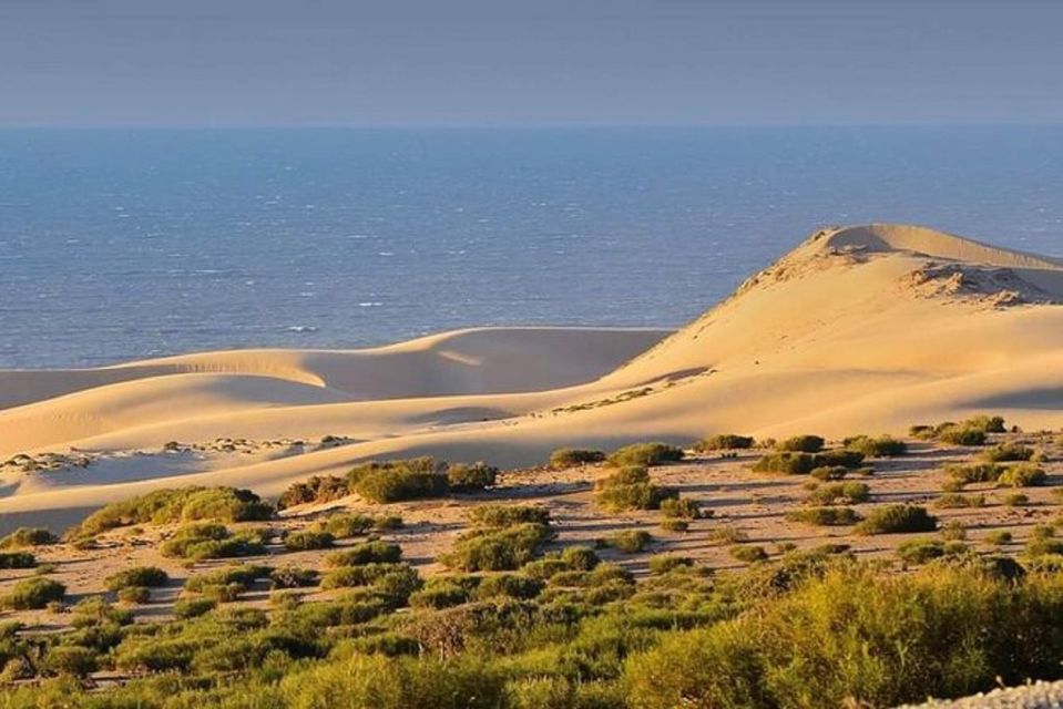 From Agadir: Jeep Desert Safari with Lunch and Camel Ride - The fishermen’s caves and savage beach: ocean views with real character