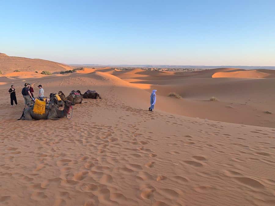 From Agadir: Jeep Desert Safari with Lunch and Camel Ride - Tajine, couscous, fruit, mint tea: the lunch stop that actually refreshes you