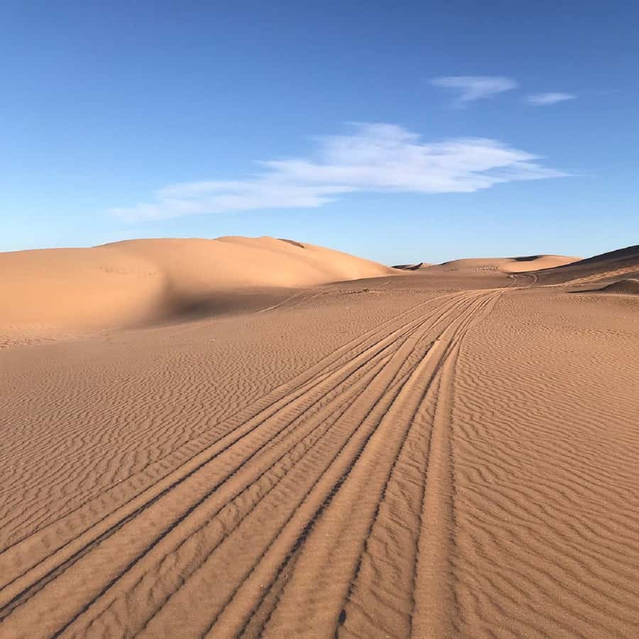 From Agadir: Jeep Desert Safari with Lunch and Camel Ride - Tiznit’s silver culture and the Medina walk you’ll actually use