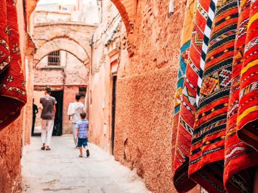 From Agadir: Marrakech Guided Day Trip - Price and Value: $32 Sounds Easy Until You Budget Entrances