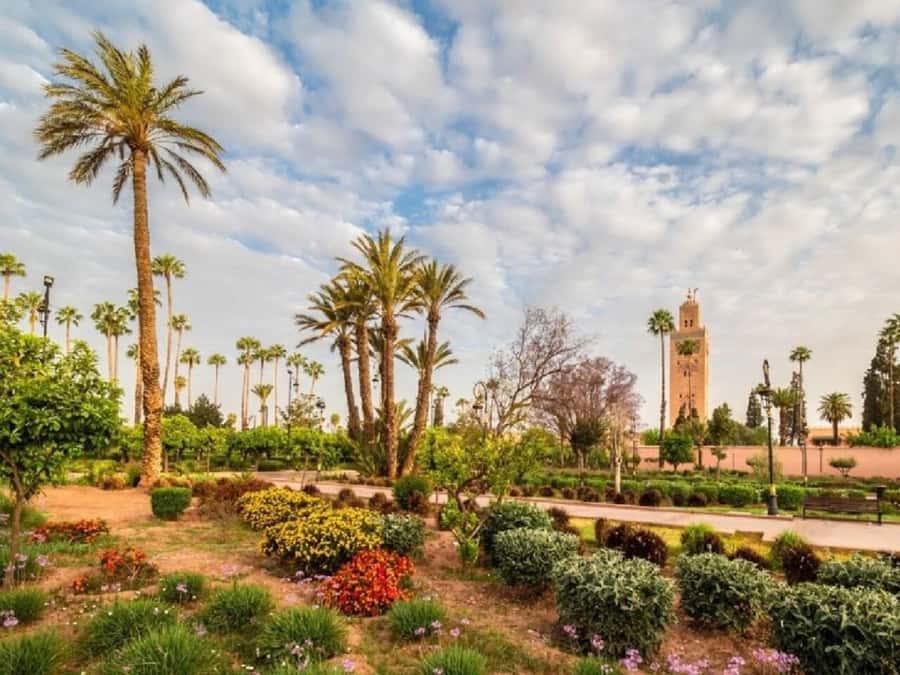 From Agadir: Marrakech Guided Day Trip - Arriving in Marrakech: Meet the Guide, Get Your Bearings Fast
