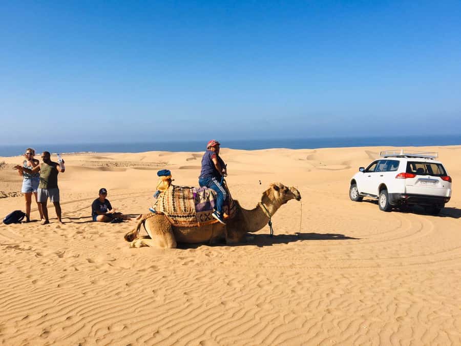 From Agadir: Mini Sahara Day Tour with Lunch - Souss-Massa River and Tiznit: Where Pre-Sahara Morocco Feels Real