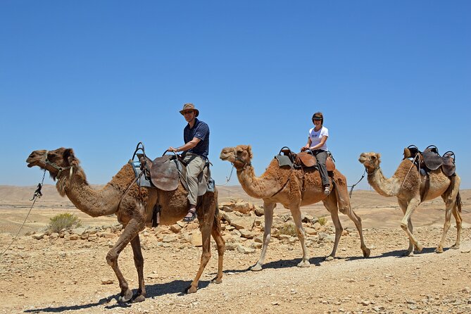 From Agadir or Port Trip to Small Sahara of Massa and Tiznit with Lunch - Lunch with a Berber family in the High Atlas: why this is more than food
