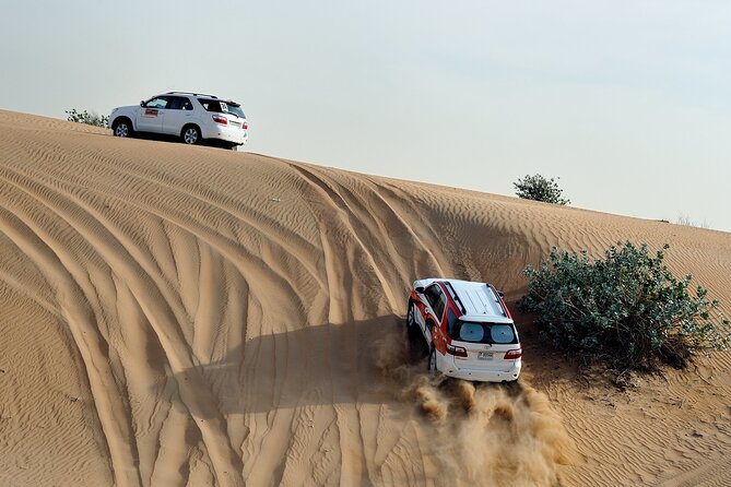 From Agadir or Port Trip to Small Sahara of Massa and Tiznit with Lunch - Who this tour fits best (and who should skip it)
