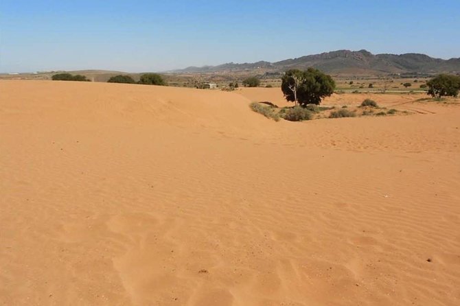 From Agadir or Port Trip to Small Sahara of Massa and Tiznit with Lunch - Should you book this Agadir to Massa and Tiznit day trip?