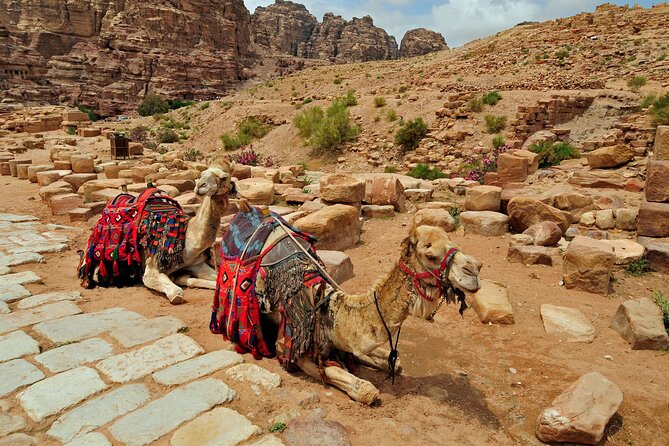 From Agadir or Port Trip to Small Sahara of Massa and Tiznit with Lunch - The drive through valleys and photo stops: where the time goes