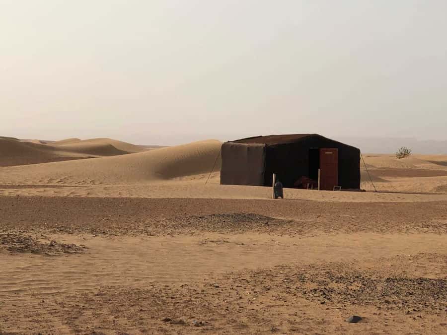 From Agadir or Taghazout: 2-Day Sahara Desert Tour to Zagora - Sunset camel ride and a nomad camp night under the stars