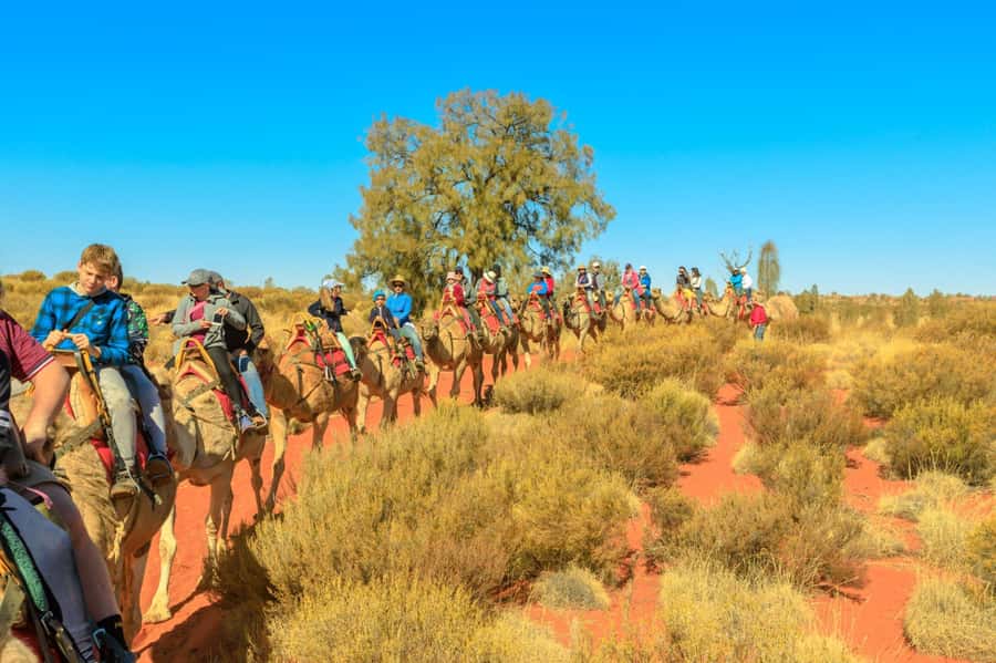 From Agadir or Taghazout: Camel Ride Berber Tour Experience - Key things I’d circle before you book