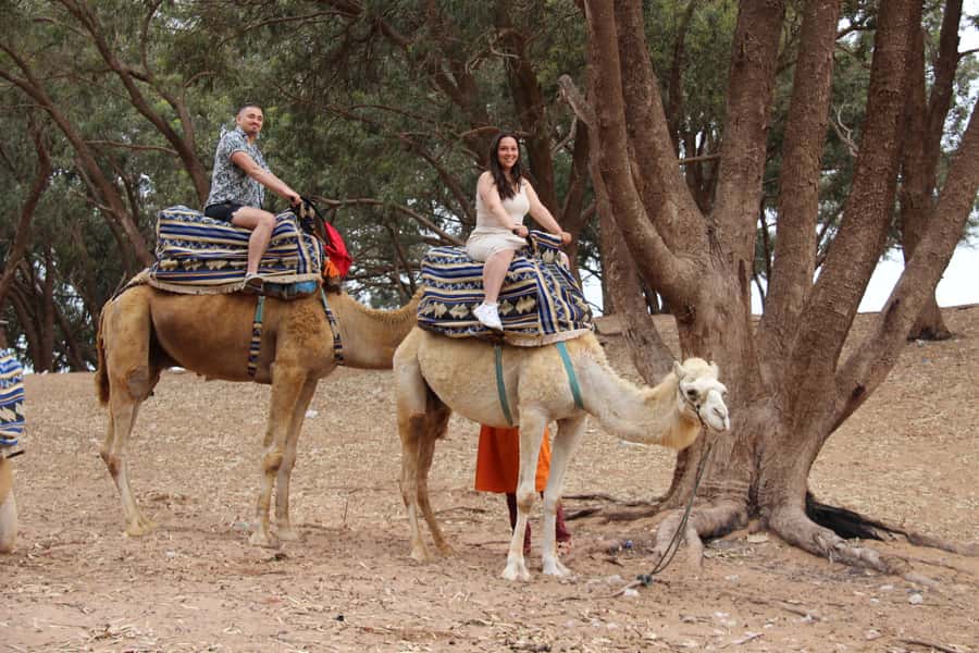 From Agadir or Taghazout: Camel Ride Berber Tour Experience - Camel Tour Reality Check: How the Ride Actually Works