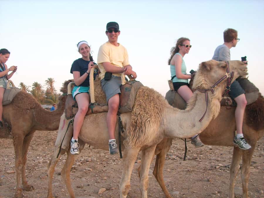 From Agadir or Taghazout: Camel Ride Berber Tour Experience - Meet the Guides: Why Handlers Make or Break Camel Confidence