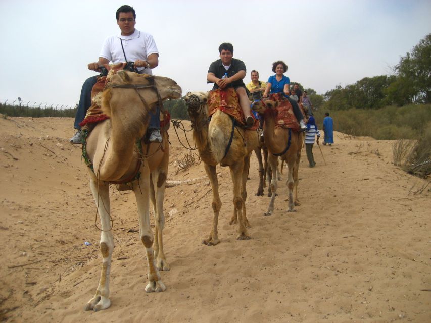 From Agadir or Taghazout: Camel Ride Berber Tour Experience - Tea, Biscuits, and the Optional Barbecue Add-On