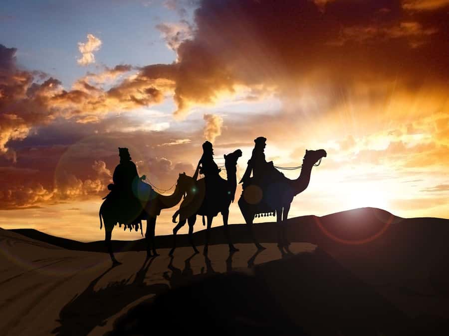 From Agadir or Taghazout: Camel Ride Berber Tour Experience - Following the Souss River: The Calm Part That Makes It Worth It