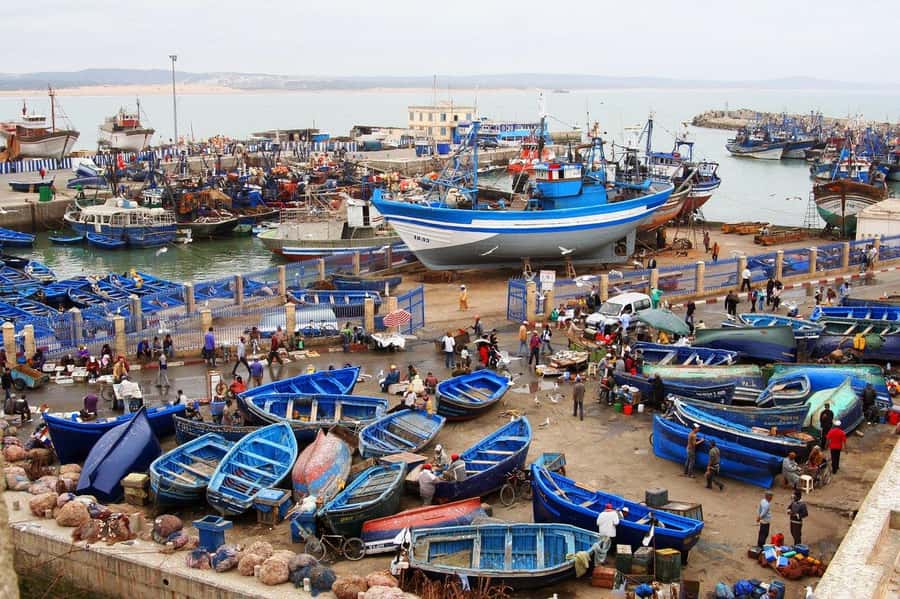 From Agadir or Taghazout : Essaouira Day Trip - Why this Essaouira day trip hits the sweet spot