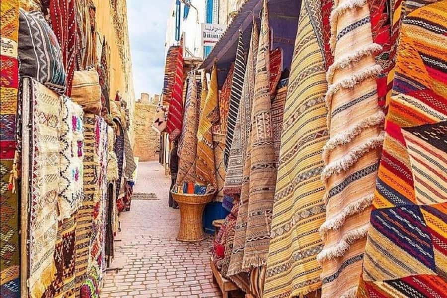 From Agadir or Taghazout : Essaouira Day Trip - Harbor and port time: see the working side of Essaouira