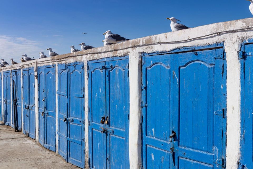 From Agadir or Taghazout: Essaouira Day Trip with Transfer - Argan oil at the Women’s Cooperative: a stop with real purpose