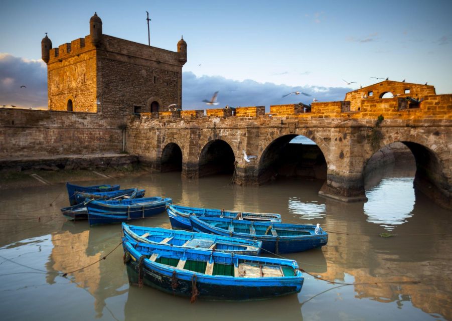 From Agadir or Taghazout: Essaouira Day Trip with Transfer - Food and drinks: lunch isn’t included, so budget smart