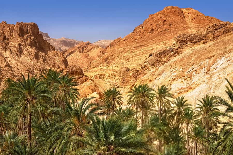 From Agadir or Taghazout: Paradise Valley Natural Atlas Tour - Key things to know before you go