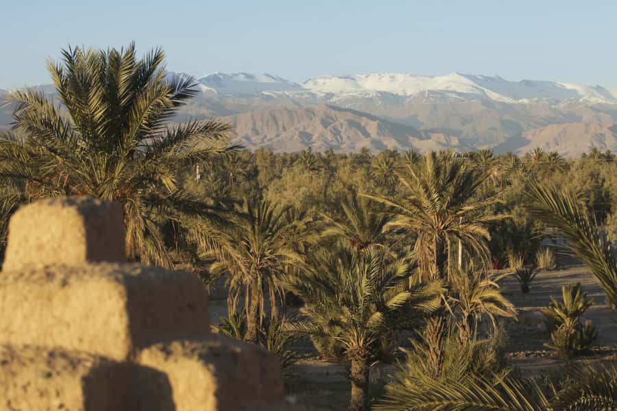 From Agadir or Taghazout: Paradise Valley Natural Atlas Tour - From Taghazout to the Atlas: the drive that sets the mood