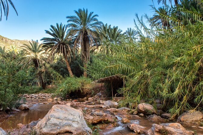 from agadir : paradise-valley 1/2 day - Swimming, relaxing, and cliff jumping: do the fun parts safely