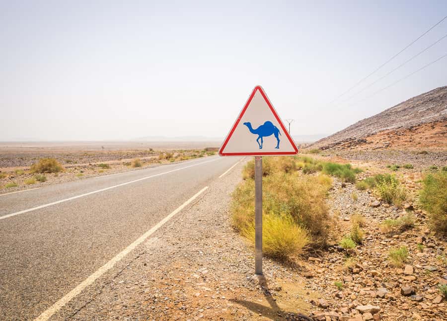 From Agadir : Private 2 Days Sahara Tour to Zagora Desert - Zagora Tinfou camel trek: sunset dunes and the best reason to do this at all