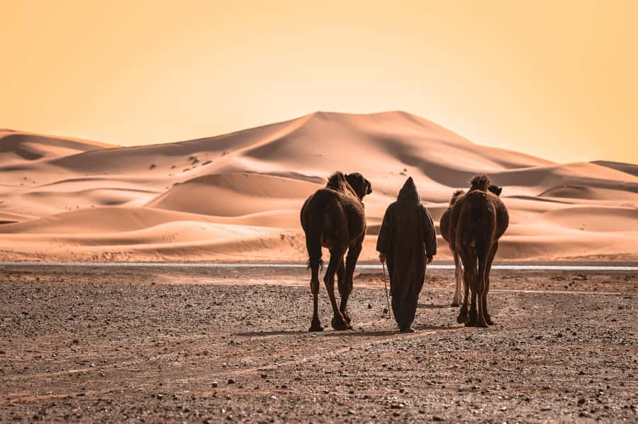 From Agadir : Private 2 Days Sahara Tour to Zagora Desert - Taroudant: the Little Marrakech medina before you head back to Agadir
